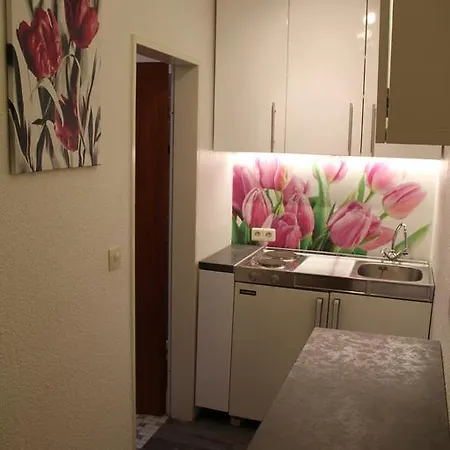 4 Moderne Nowak-bals Zur Auswahl Apartment Braunlage