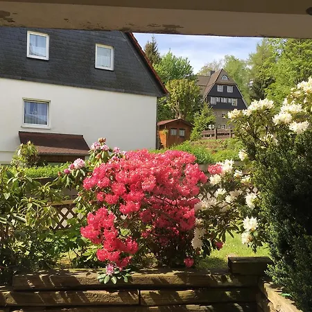 4 Moderne Nowak-bals Zur Auswahl Braunlage