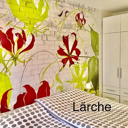 4 Moderne Nowak-bals Zur Auswahl * Braunlage