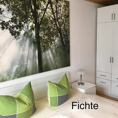 4 Moderne Nowak-bals Zur Auswahl * Braunlage