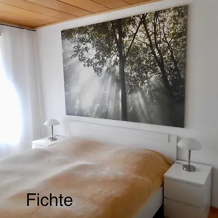 4 Moderne Nowak-bals Zur Auswahl Braunlage