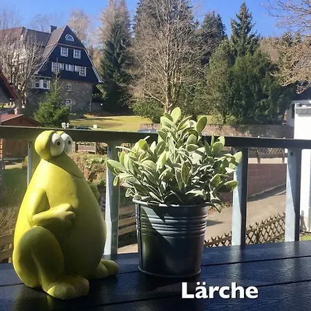 4 Moderne Nowak-bals Zur Auswahl Daire
