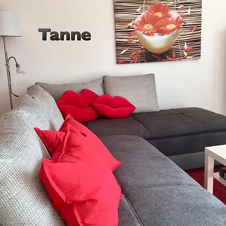 4 Moderne Nowak-bals Zur Auswahl Braunlage
