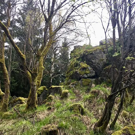 4 Moderne Nowak-bals Zur Auswahl Apartment Braunlage