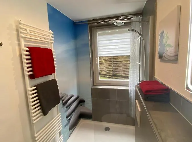 4 Moderne Nowak-bals Zur Auswahl * Браунлаге