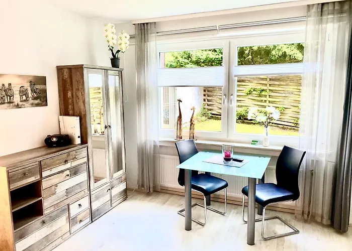 4 Moderne Nowak-bals Zur Auswahl *