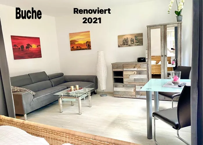 4 Moderne Nowak-bals Zur Auswahl Braunlage