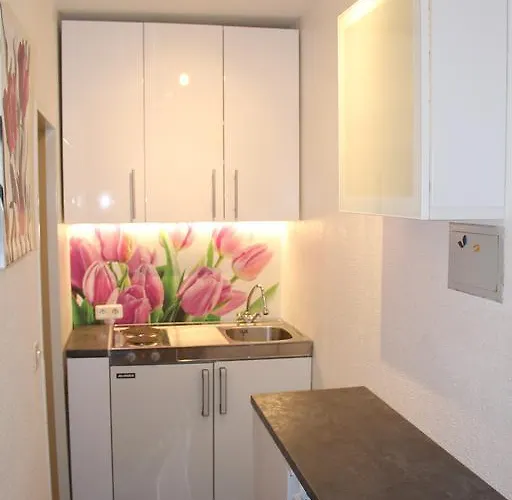 4 Moderne Nowak-bals Zur Auswahl *