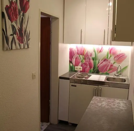 4 Moderne Nowak-bals Zur Auswahl Appartement Braunlage