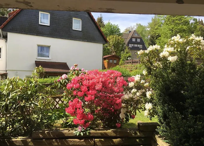 4 Moderne Nowak-bals Zur Auswahl Braunlage