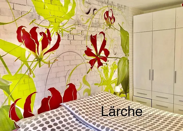 4 Moderne Nowak-bals Zur Auswahl * Браунлаге