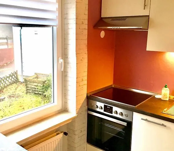 4 Moderne Nowak-bals Zur Auswahl *