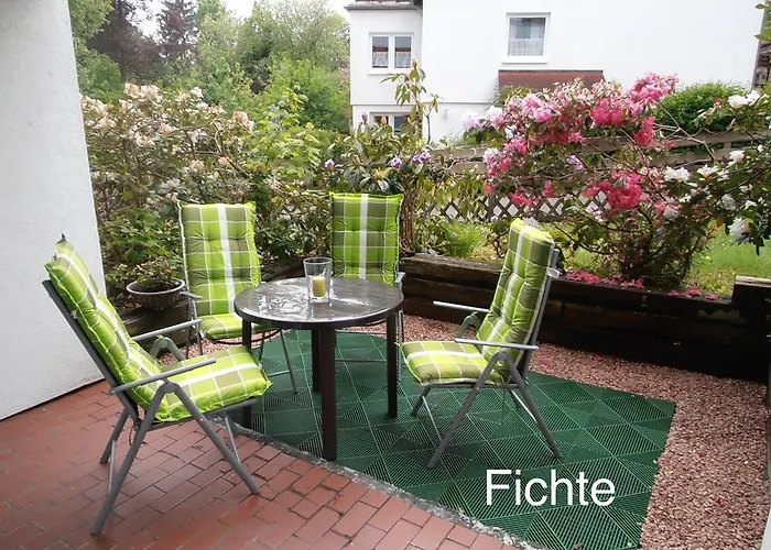 4 Moderne Nowak-bals Zur Auswahl *