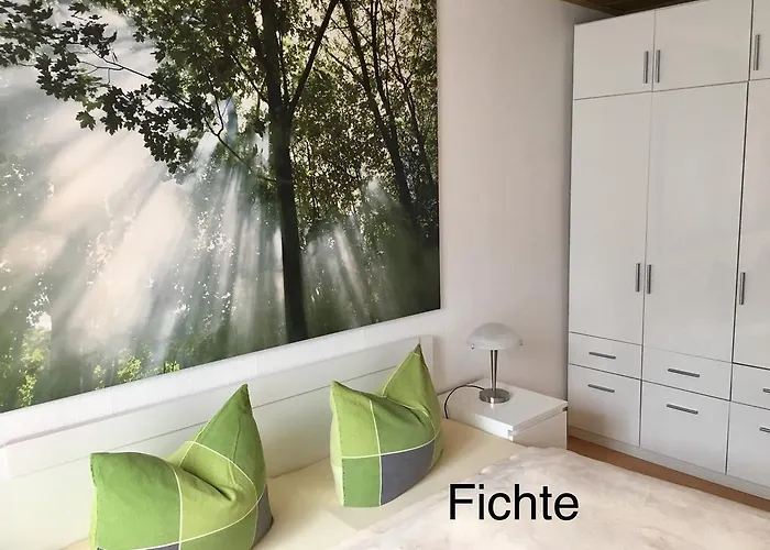 4 Moderne Nowak-bals Zur Auswahl * Braunlage