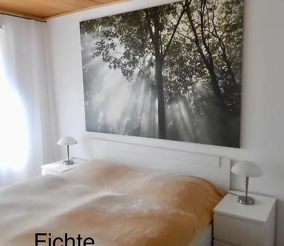 4 Moderne Nowak-bals Zur Auswahl Braunlage