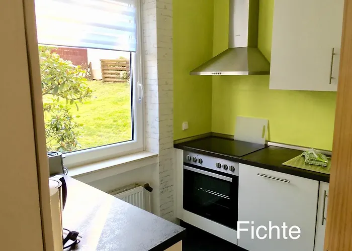 4 Moderne Nowak-bals Zur Auswahl Braunlage