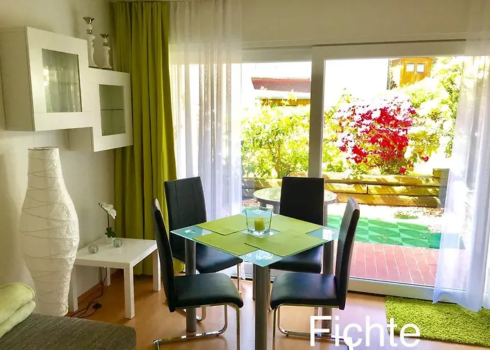 4 Moderne Nowak-bals Zur Auswahl *