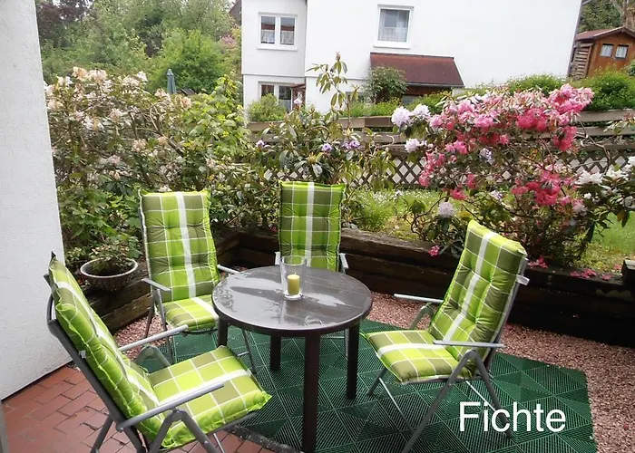 4 Moderne Nowak-bals Zur Auswahl * Braunlage