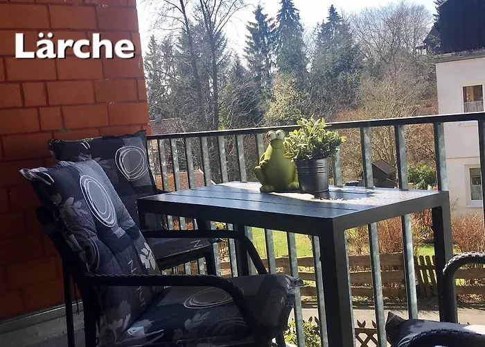 4 Moderne Nowak-bals Zur Auswahl Braunlage