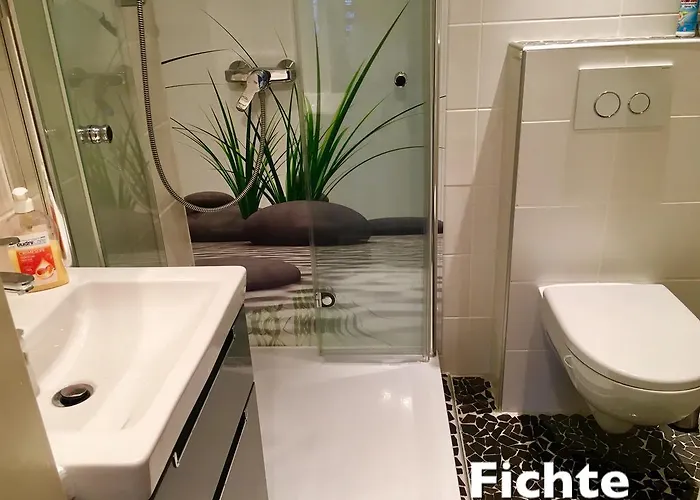 4 Moderne Nowak-bals Zur Auswahl *