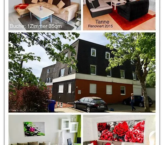 4 Moderne Nowak-bals Zur Auswahl *