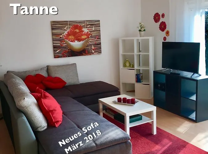 4 Moderne Nowak-bals Zur Auswahl Braunlage