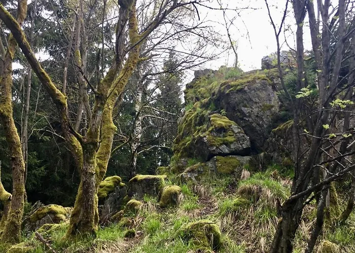 4 Moderne Nowak-bals Zur Auswahl Апартаменты Браунлаге