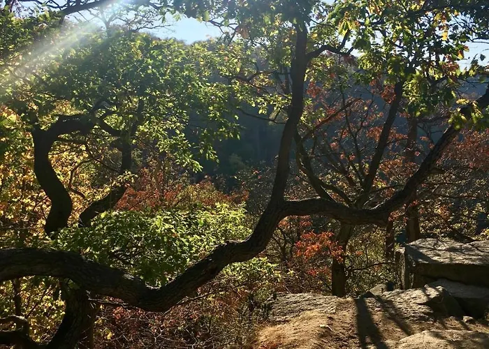 4 Moderne Nowak-bals Zur Auswahl * Braunlage